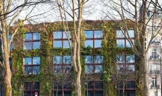 园艺工程师 园艺工程师